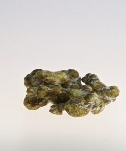 Golden Teacher Magic truffles