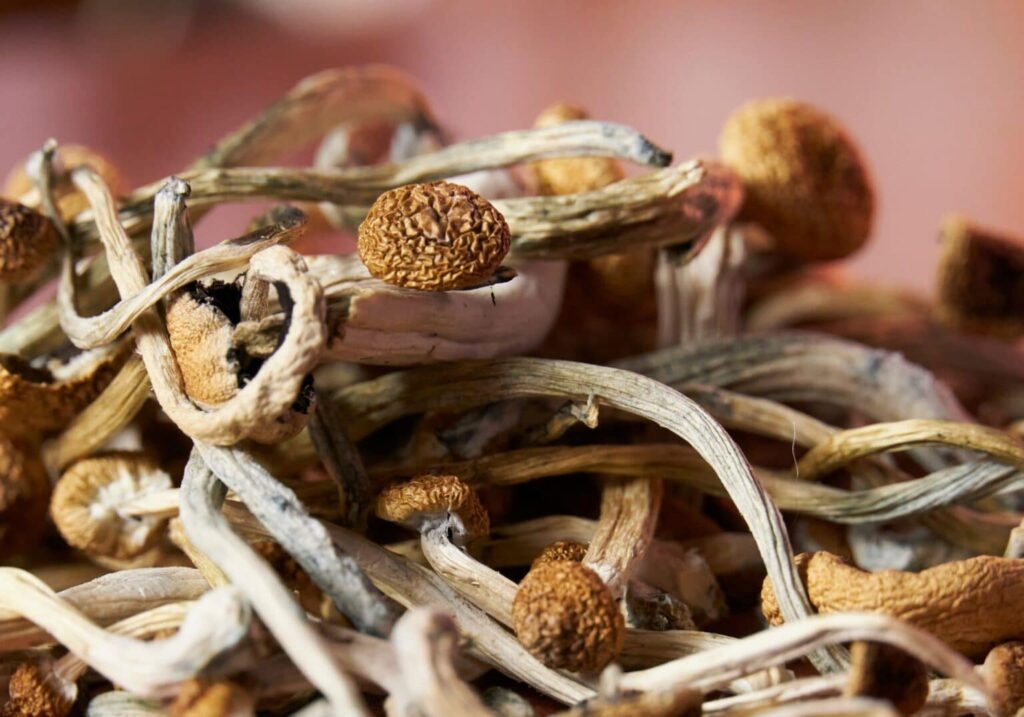 how long do shrooms take to hit